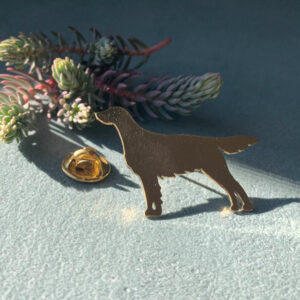Spilla setter